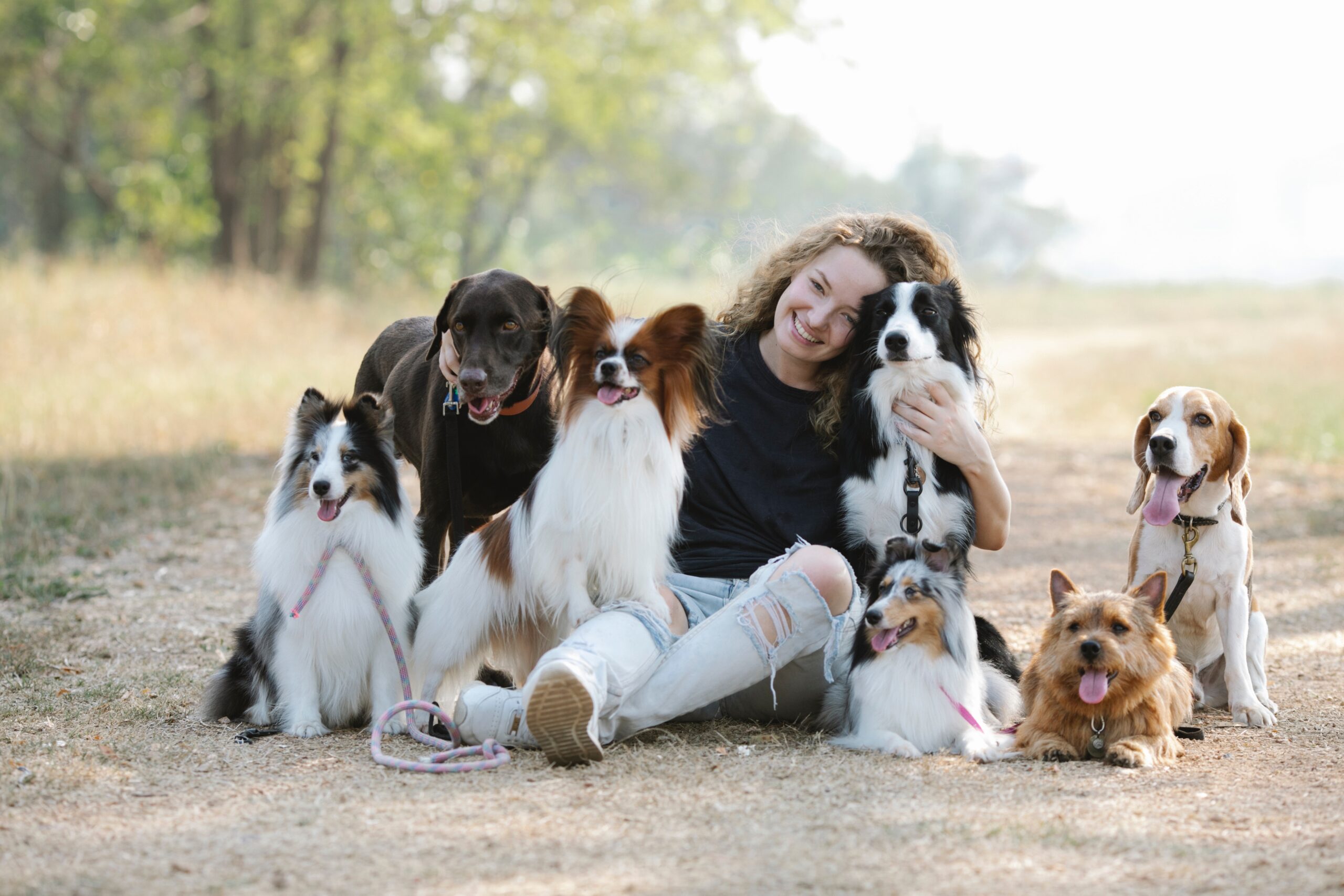 Discover the Joys of Family Life with the Best Dog Breeds!