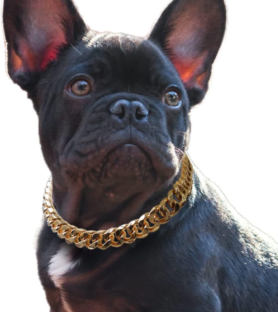 Cuban link dog collar