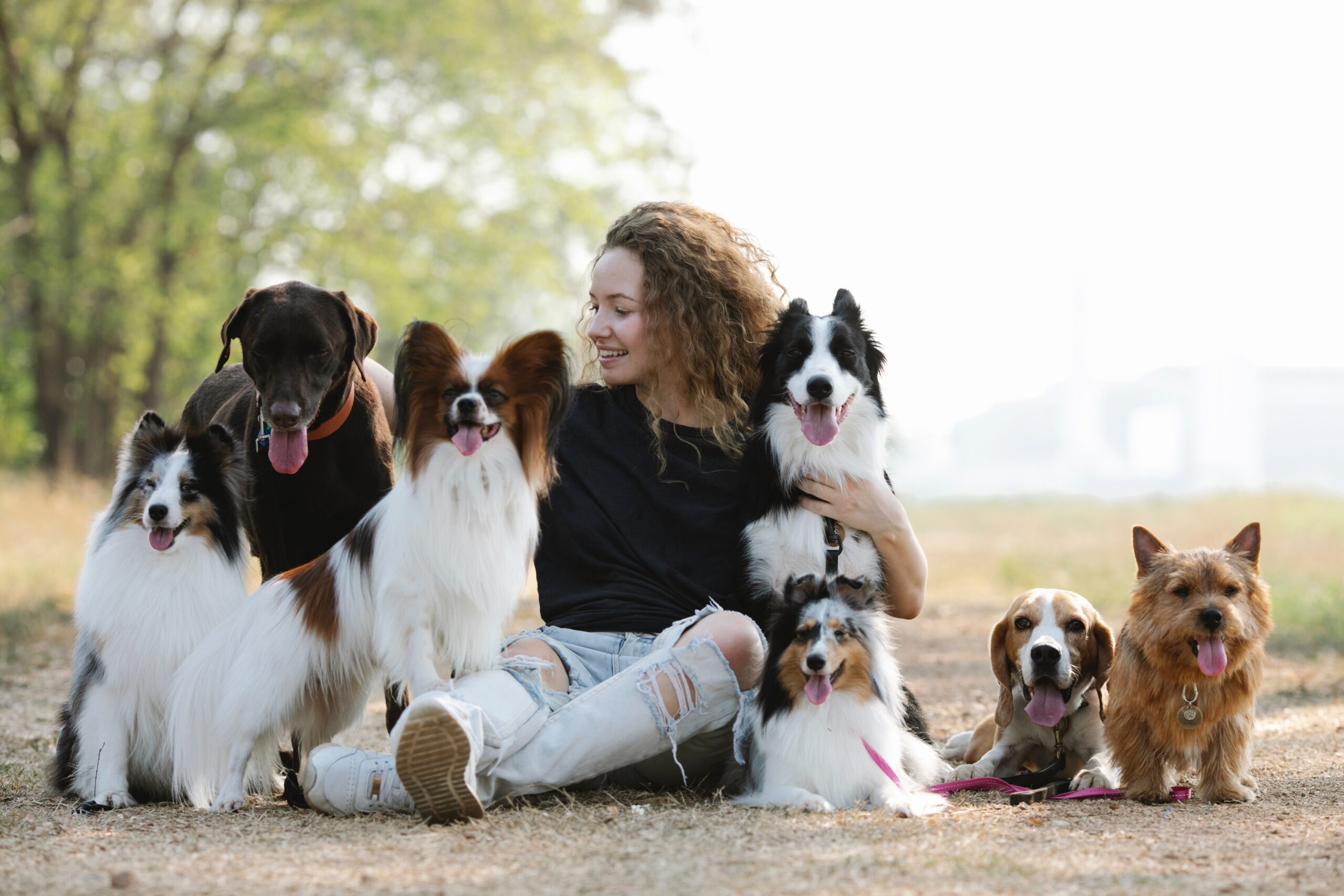 Discover the World of Man’s Best Friend: The Incredible Variety of Dog Breeds