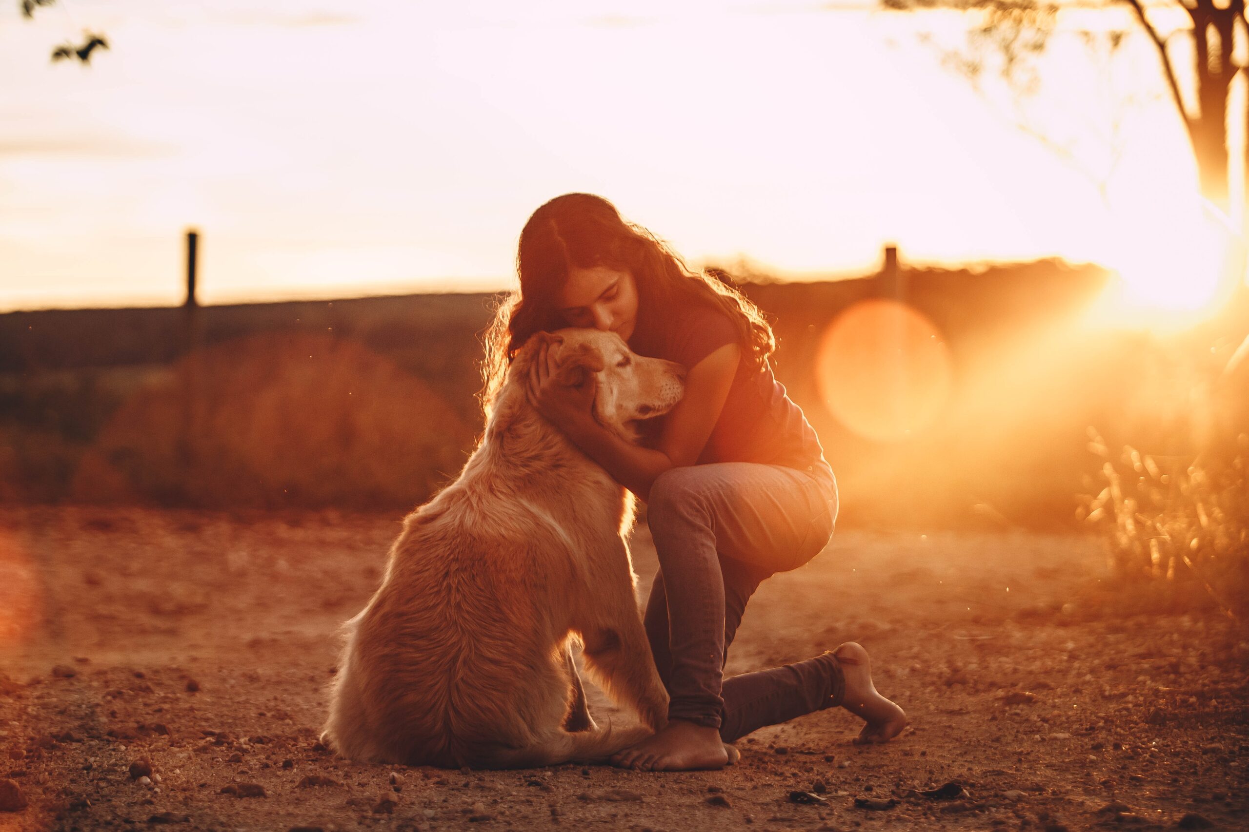 Unlock the Secrets of Your Dog’s Behavior – The Science of Dog Communication!