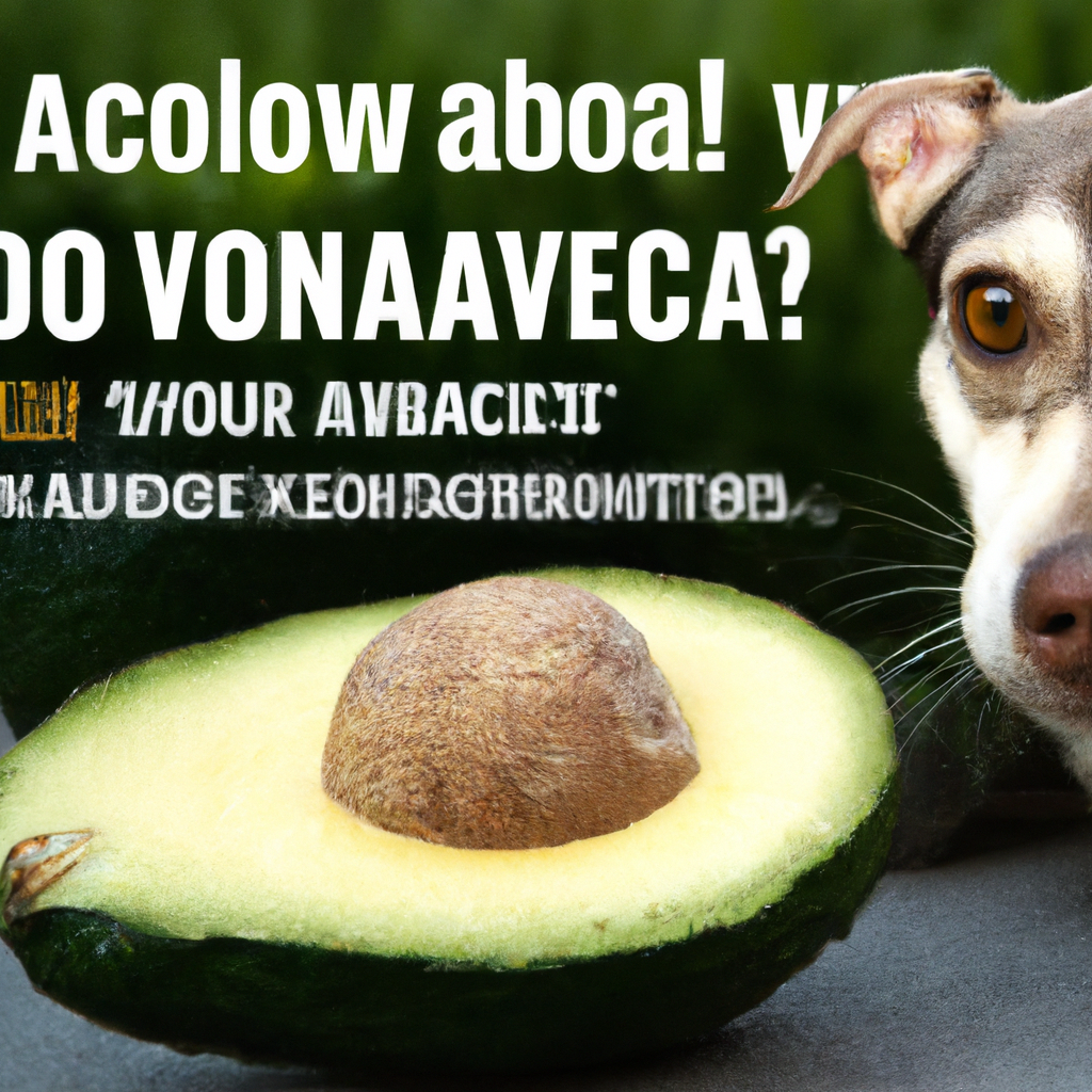 can dogs eat avocados and should they be avoided due to toxicity 1