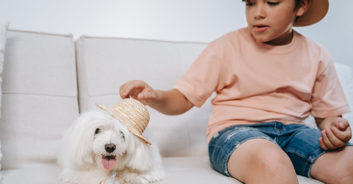 Can I use treat toys to teach my dog self-control and patience?