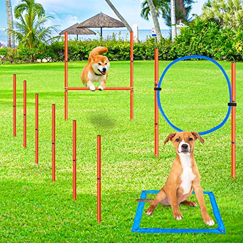 XiaZ Dog Agility Equipments, Obstacle Courses Agility Training Starter Kit for Doggie, Pet Outdoor Games for Backyard Interactive Play Includes Jumping Ring, High Jumps, 6 Piece Weave Poles, Pause Box