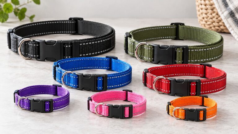 Product-focused comparison scene for penseepet collars with the listed options arranged clearly.